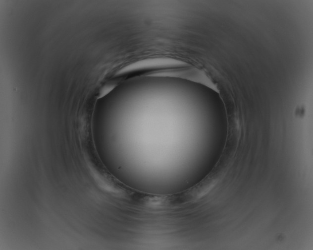 X0000092210088200710051146