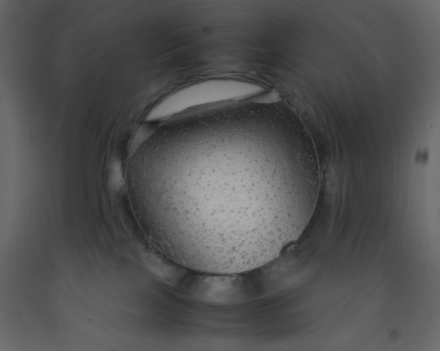 X0000092210089200710051146