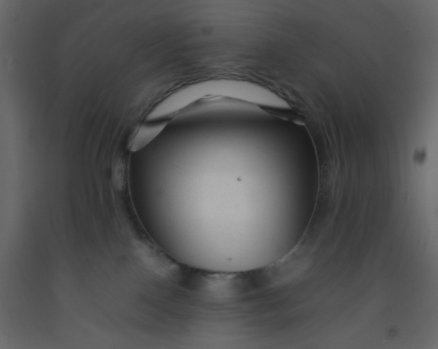 X0000092210090200710051146