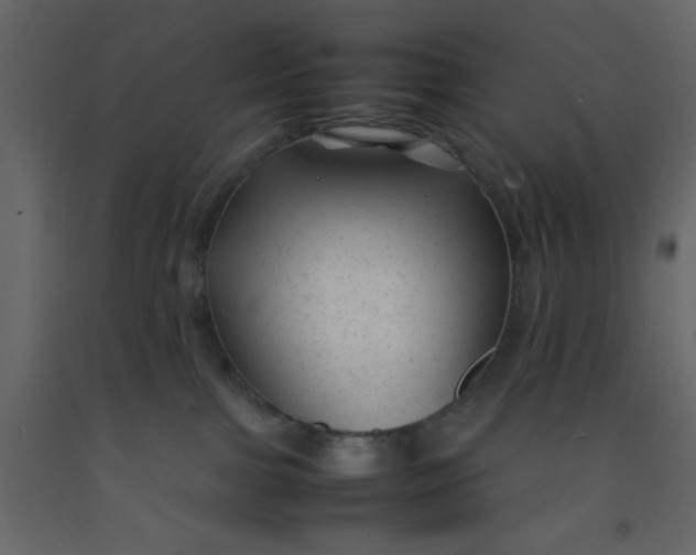 X0000092210091200710051146