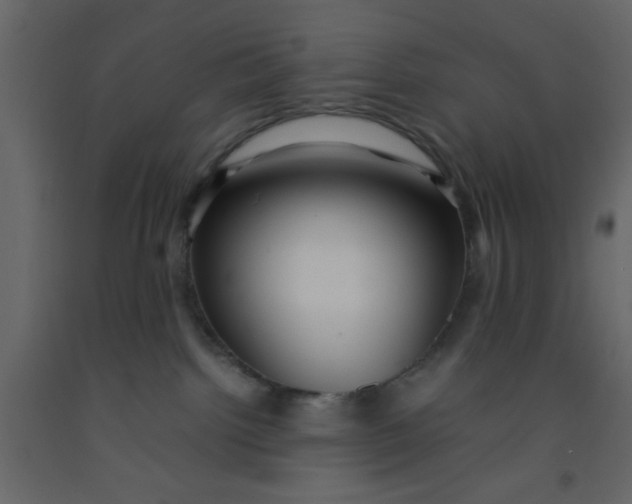 X0000092210092200710051146