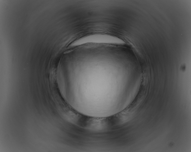 X0000092210093200710051146