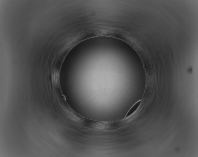 X0000092210094200710051146