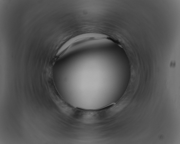 X0000092210096200710051146