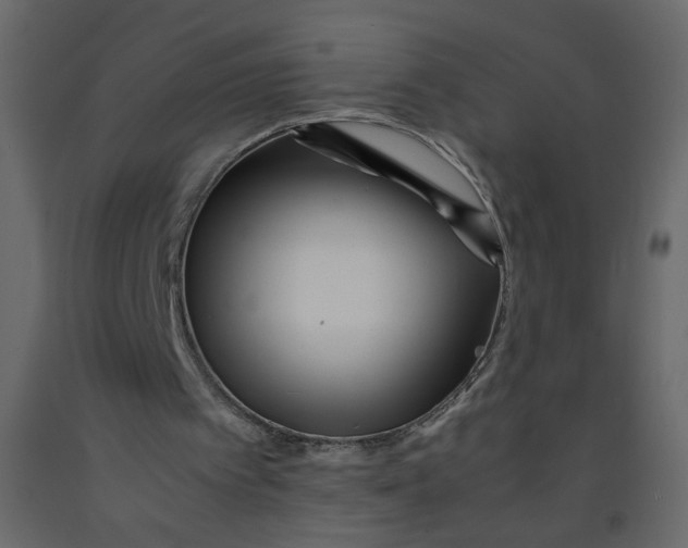 X0000092210097200710051145