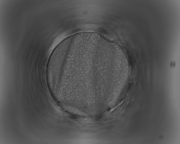 X0000092210099200710051145