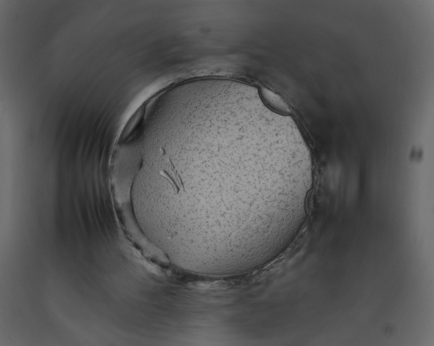 X0000092210100200710051145