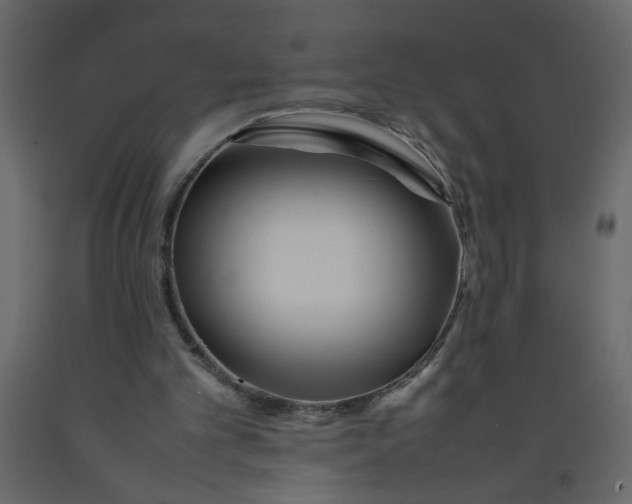 X0000092210101200710051145
