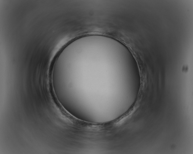 X0000092210102200710051145