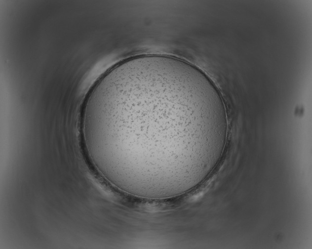 X0000092210103200710051145