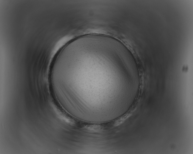 X0000092210104200710051145