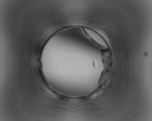 X0000092210105200710051145
