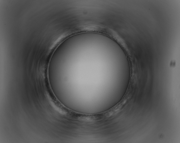 X0000092210106200710051145