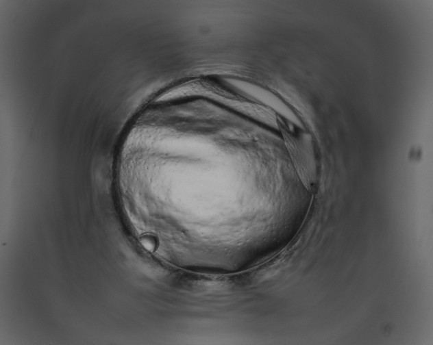 X0000092210107200710051145