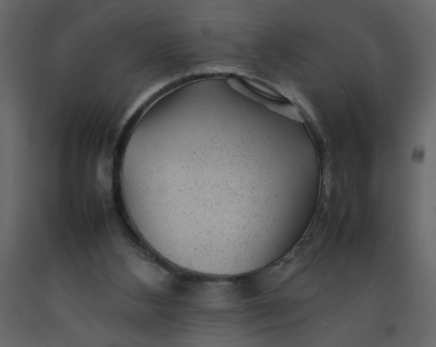 X0000092210108200710051145