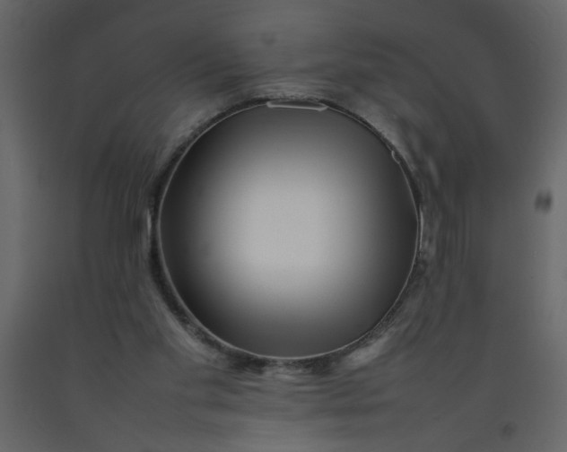 X0000092210109200710051145