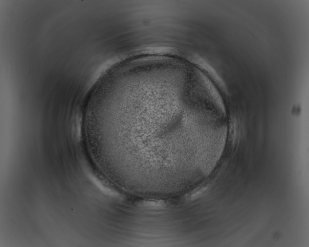 X0000092210110200710051145