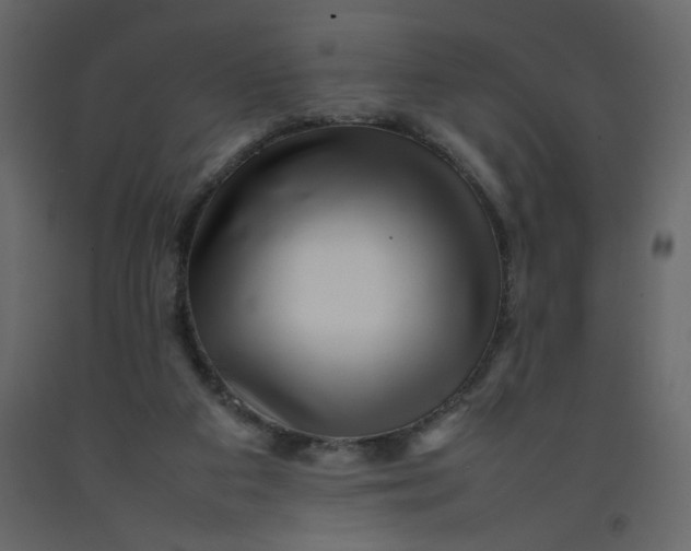 X0000092210113200710051145