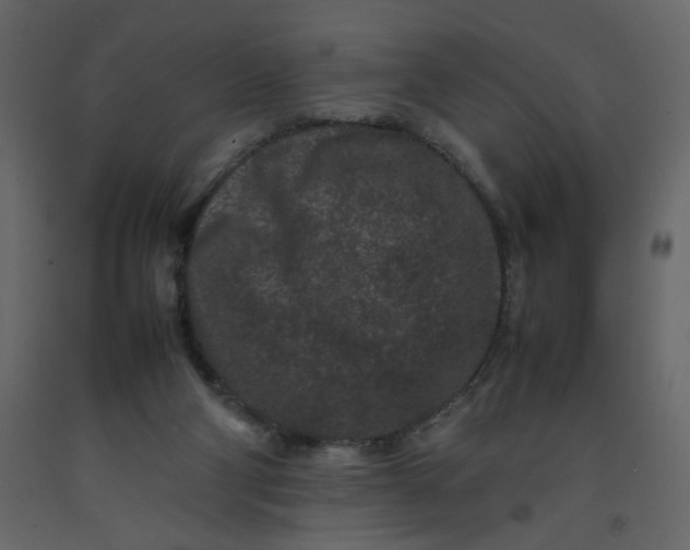 X0000092210114200710051145