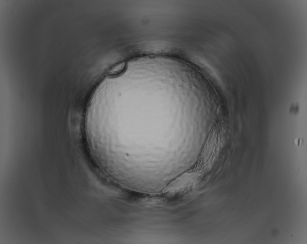X0000092210115200710051145