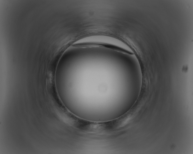 X0000092210117200710051145