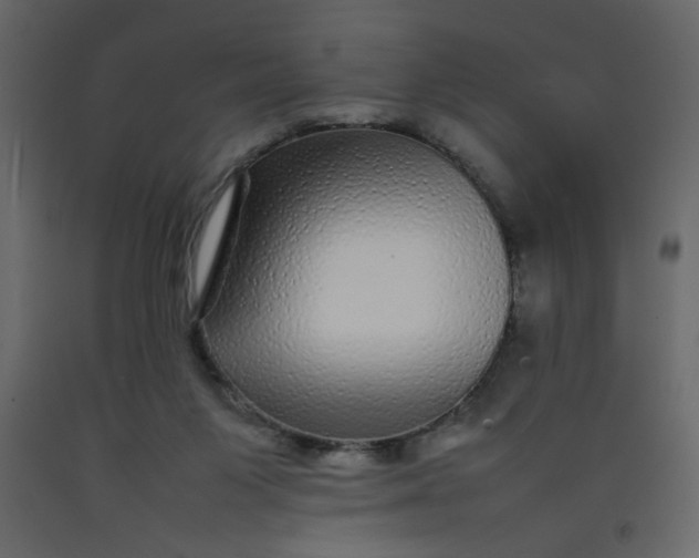 X0000092210119200710051145