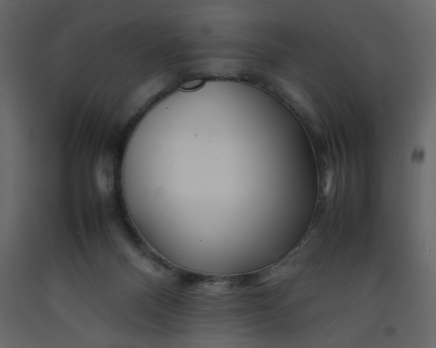 X0000092210120200710051145
