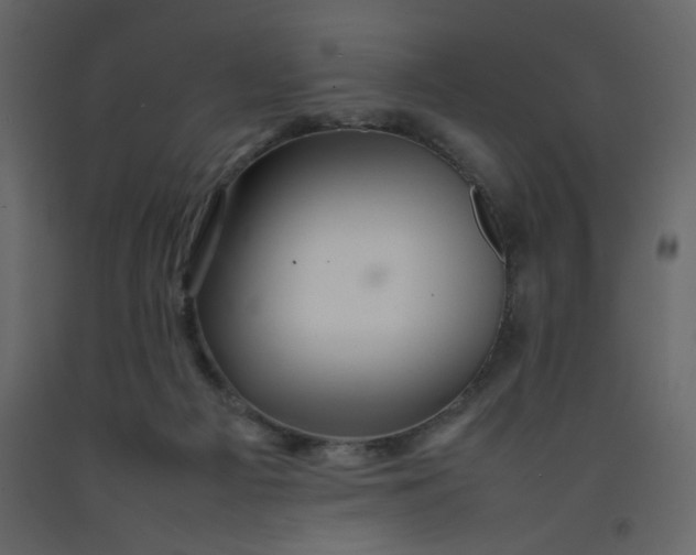 X0000092210121200710051145