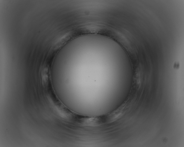 X0000092210122200710051145