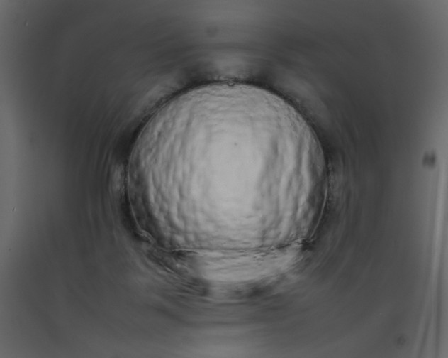 X0000092210123200710051145