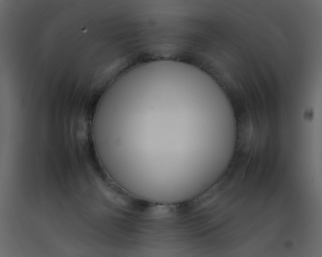 X0000092210126200710051145
