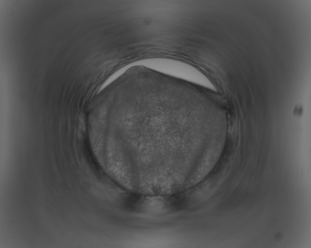 X0000092210127200710051145