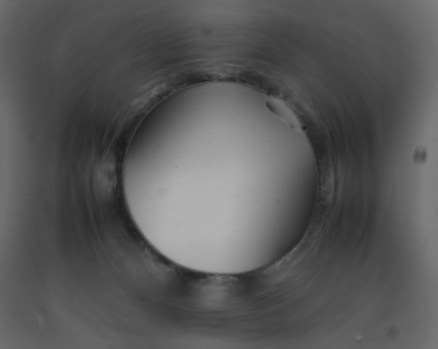 X0000092210128200710051145