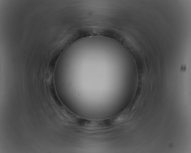 X0000092210129200710051145