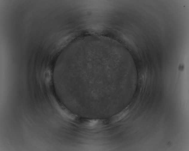 X0000092210130200710051145