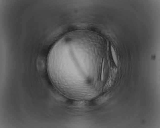 X0000092210131200710051145