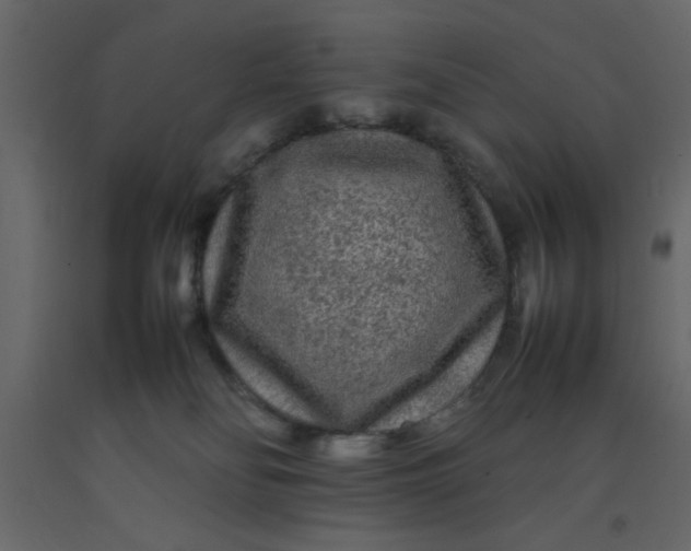 X0000092210134200710051145