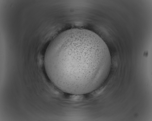 X0000092210135200710051145