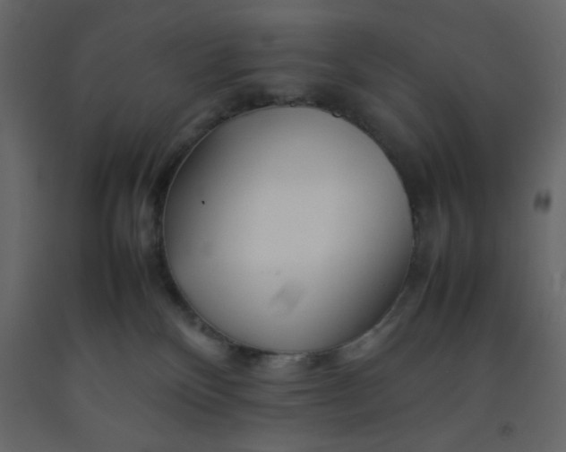 X0000092210136200710051145