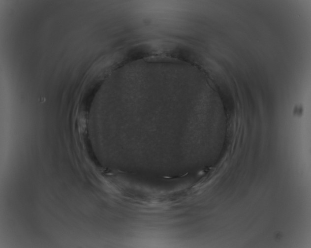 X0000092210137200710051145