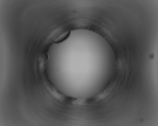 X0000092210138200710051145