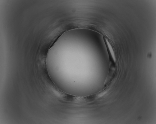 X0000092210141200710051144