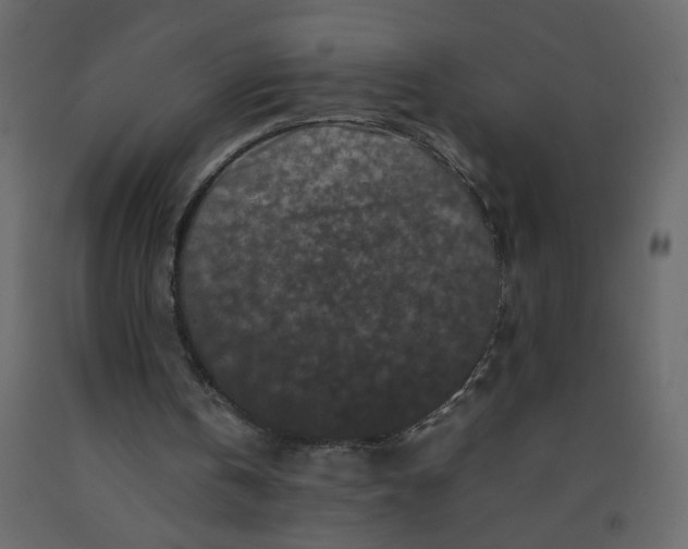 X0000092210146200710051144