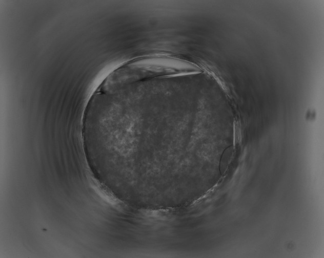 X0000092210147200710051144