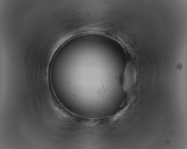 X0000092210148200710051144