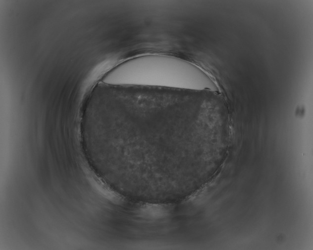 X0000092210149200710051144