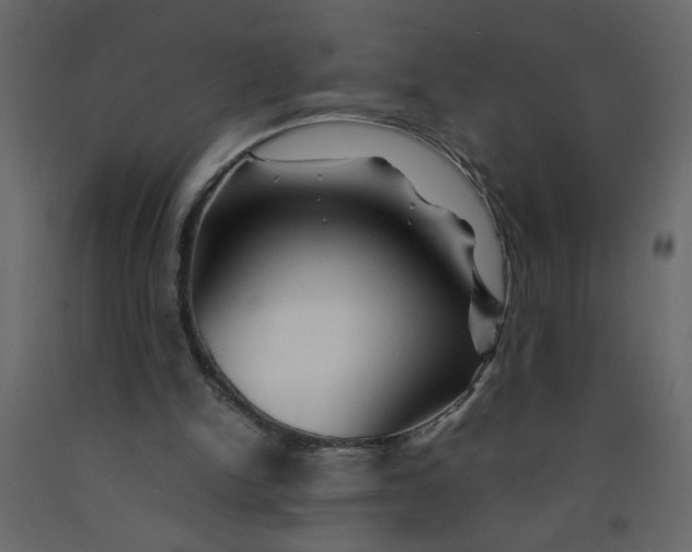 X0000092210150200710051144