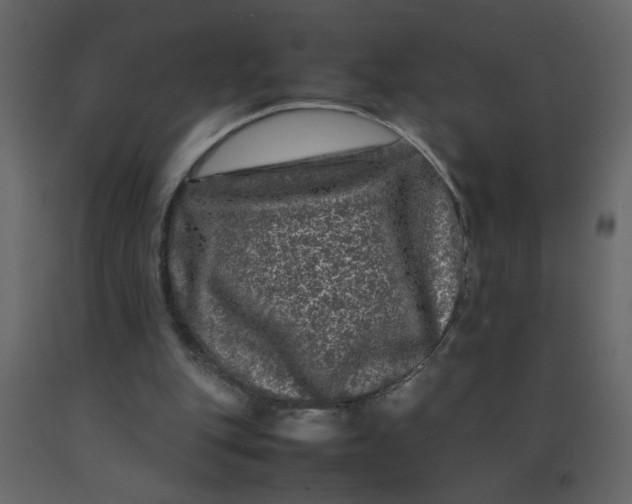 X0000092210151200710051144