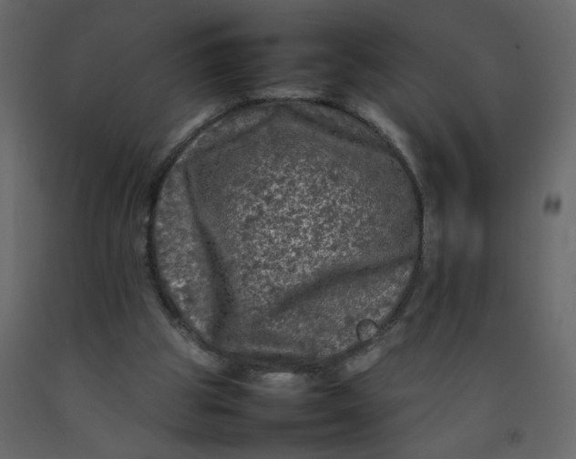 X0000092210153200710051144