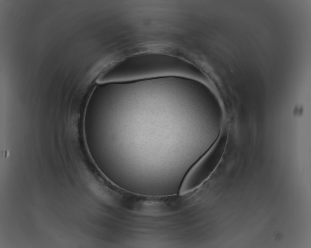 X0000092210154200710051144